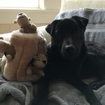 Kenneth Gustin - @husgustin - Instagram