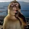 Kenneth Hadfield - @kenneth.hadfield8 - TikTok