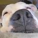 Kenneth Halpern - Facebook