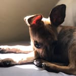 Kenneth Hamburger Pearl - @kenny.h.pearl - Instagram