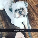 John - @kennethharris2026693 - Instagram