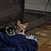 Kenneth Harrison - @kenneth.harrison26 - TikTok