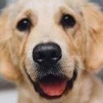 @kenneth_hawk_martins - Instagram