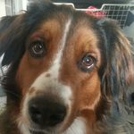 kennet hedström - @hedstromkennet - Instagram