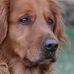Kenneth Hendricks - Facebook