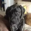 Kenneth Hessler - @kenneth.hessler - TikTok