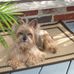 Kenny Howard  - Facebook