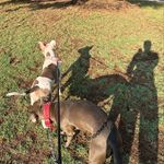Kenneth Hobson - @hobson5876 - Instagram