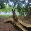 kennethhecker - @kennethhecker - TikTok