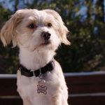 Kenneth Hutt - @rollerdearby400 - Instagram