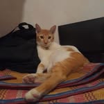 Kenneth Hynson - @hynsonkenneth - Instagram