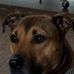 Kenneth Ibbetson - Facebook
