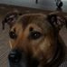 Kenneth Ibbetson - Facebook