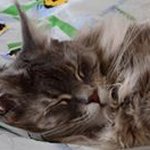 Kenneth Janson - @jansonkenneth - Instagram