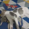 kenneth juarez - @kenneth.juarez5 - TikTok