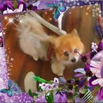 Kenneth Kellerman - Facebook
