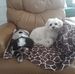 Ken Kessinger - Facebook