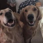 Kenneth Knopp - @kenneth.knopp.376 - Instagram