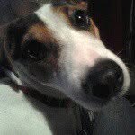 Kenneth Kolar - @kennethkolar - Instagram