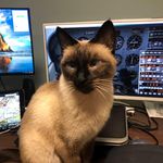 Kenneth Kranz - @kranzkenneth - Instagram
