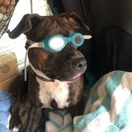 Kenneth Krieger - @kenneth_l_krieger - Instagram