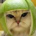 Kenneth Laumann - Facebook