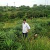 Lœver_Sanam_re - @kenneth_lightcap418 - TikTok