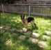 Kenneth Lindberg - Facebook