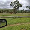 Kenneth Philipson - @kenneth.philipson - TikTok