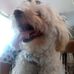 Kenneth Logerquist - Facebook