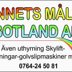 Kennet Lundberg - @kennetsmalerigotland - Instagram