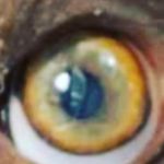 Kenneth L Lundberg - @kenlundberg2 - Instagram