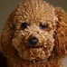 Kenneth Lunt - Facebook