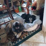 Kenneth Luster - @kennluster - Instagram