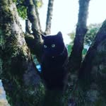 Kenneth  Lynch - @kennethlynch326 - Instagram