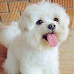 Kenneth Lynch - @kennethlynch950 - Instagram