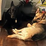 Kenneth W Macon - @breezy_k50 - Instagram