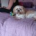 Kenneth Mahon - Facebook
