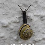 kenneth malmer - @malmerkenneth - Instagram