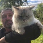 Kenneth Malmsten - @kennethmalmsten - Instagram