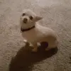 Ken Marchand - @ken.marchand - TikTok
