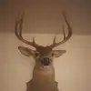 Kenneth Marlowe - @kennethmarlowe0 - TikTok