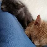 Kenneth Martel - @kenneth.martel.357 - Instagram