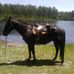 Kenneth Martindale - Facebook