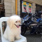 Kenneth J Maulas Dacutan - Facebook