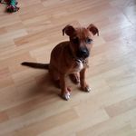 Kenneth Mcarthur - @kenneth.mcarthur.750 - Instagram
