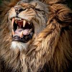 Kenneth Mcarthur - @kennethmcarthur56 - Instagram