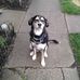Kenneth McArthur - Facebook