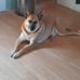 Kenneth McArthur - Facebook
