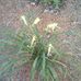 Kenneth McCafferty - Facebook